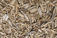 biomass boilers Cookridge