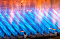 Cookridge gas fired boilers